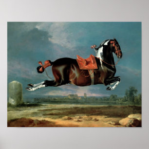 The piebald horse 'Cehero' rearing Poster