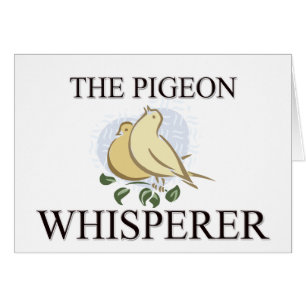 The Pigeon Whisperer