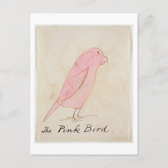 The Pink Bird, from 'Sixteen Drawings of Comic Bir Postcard (Front)