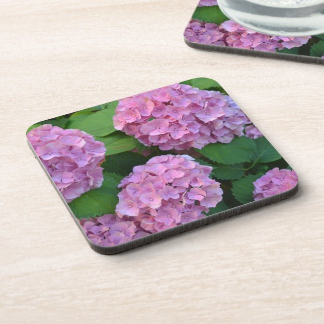 The pink Hortensia hydrangea bush  Coaster (Left Side)