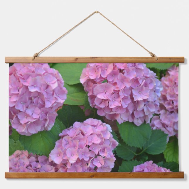 The pink Hortensia hydrangea Flowers  Hanging Tapestry (Front)