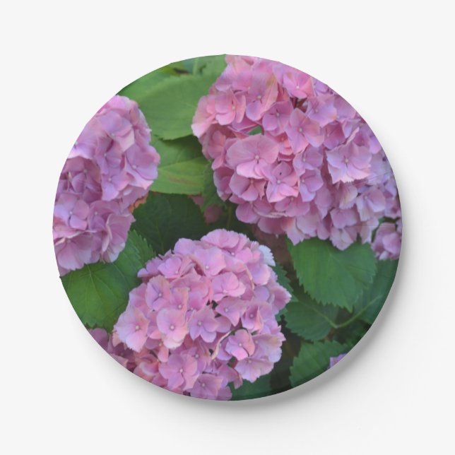The pink Hortensia hydrangea   Paper Plate (Front)