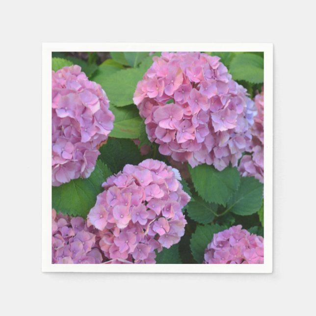 The pink Hortensia hydrangea Party  Napkin (Front)