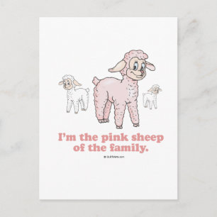THE PINK SHEEP POSTCARD
