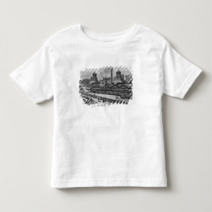 The Pits of St. Pierre & St. Paul at Le Toddler T-shirt