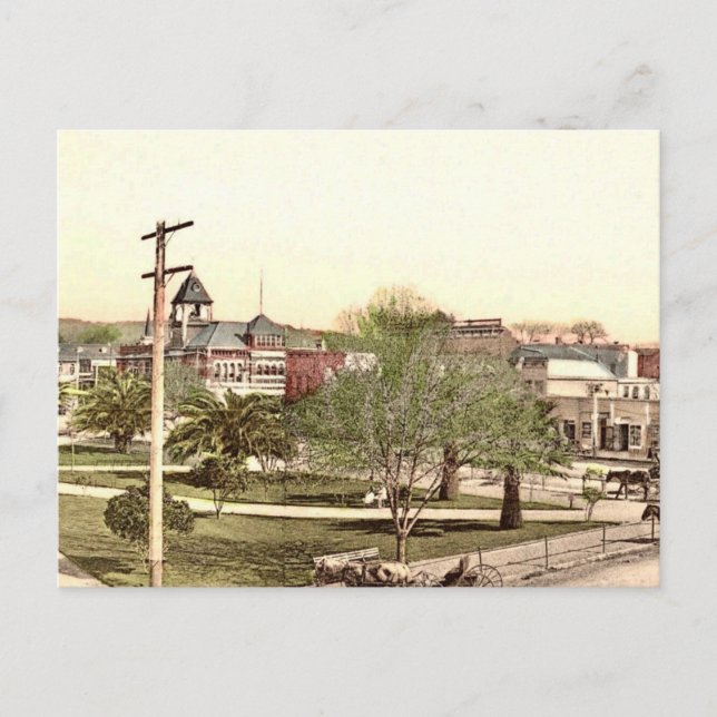 The Plaza (Square) in Healdsburg CA Postcard (Front)
