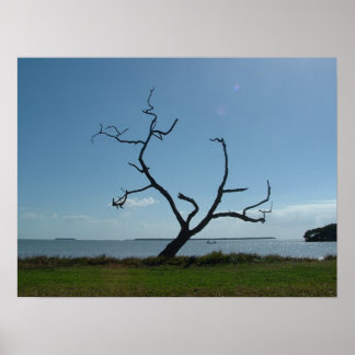 The Poet Tree Poster