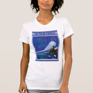 The Polar Express Northern Lights Vintage Travel T-Shirt