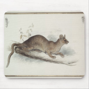 The Polecat, 19th century Mouse Pad