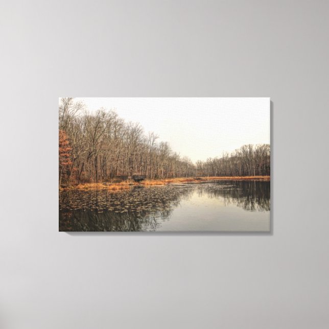 The Pond Canvas Print (Front)