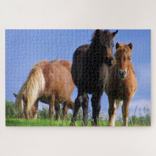 The Ponies Jigsaw Puzzle