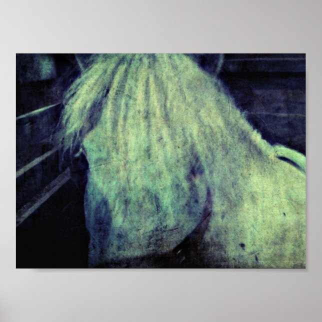 The Pony Poster (Front)