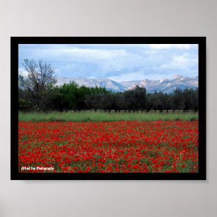 The Poppy Field Poster