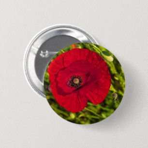 The poppy series #2 2 inch round button