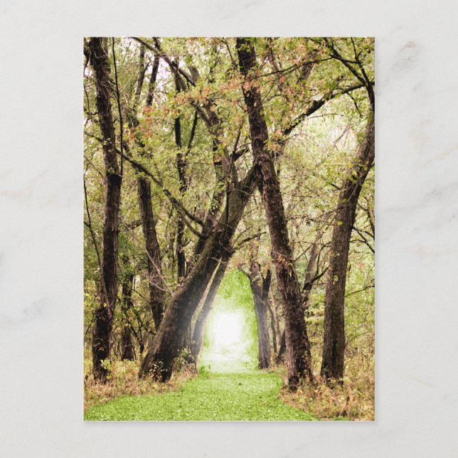 "The Portal" Photography Postcard (Front)