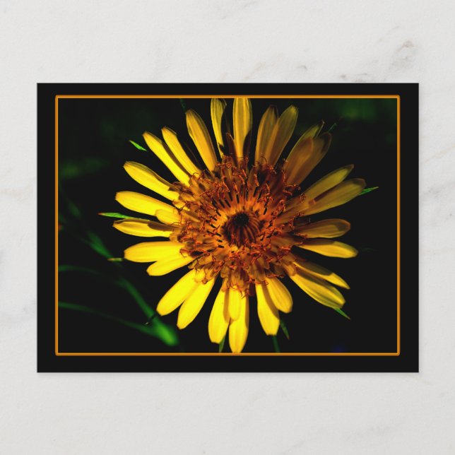 The Postcard Place (Front)