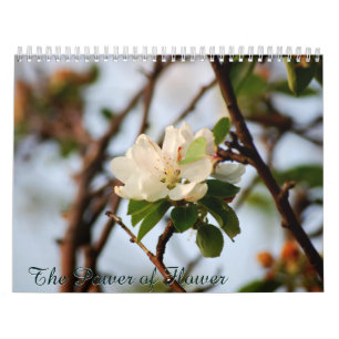 The Power of Flower Calendar
