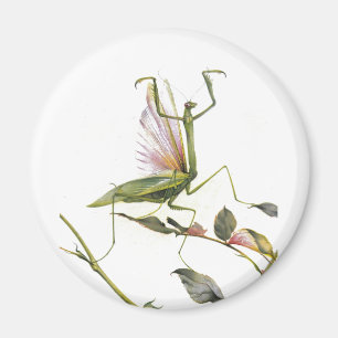 THE PRAYING MANTIS MAGNET