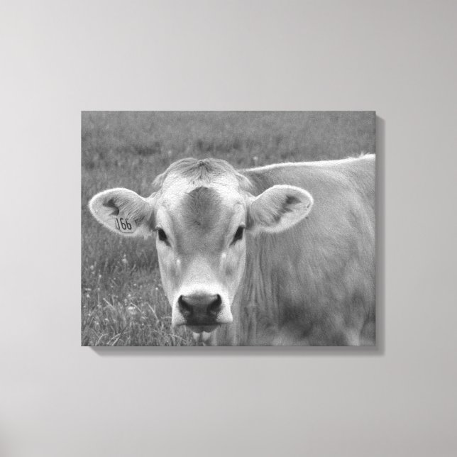 The Pretty Jersey Cow Portrait  Canvas Print (Front)