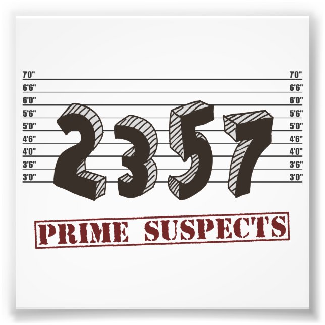 The Prime Number Suspects Photo Print (Front)