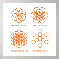 The Process of Creation