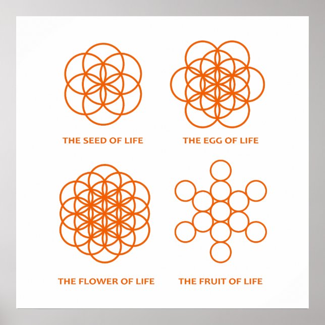 The Process of Creation Poster (Front)