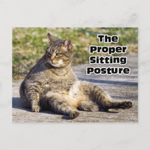The Proper Sitting Posture Postcard