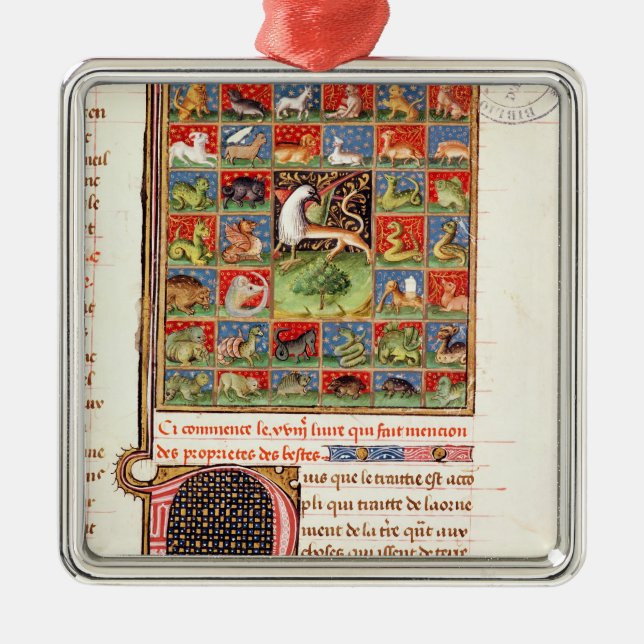 The Properties of Animals Metal Ornament (Front)