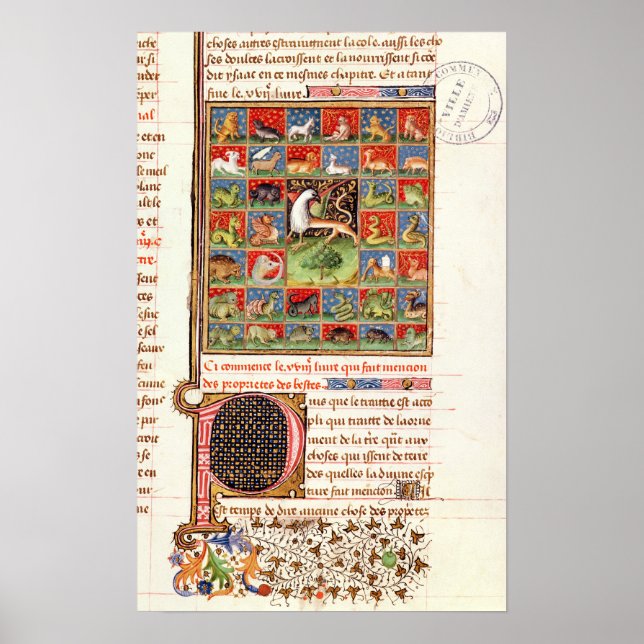 The Properties of Animals Poster (Front)