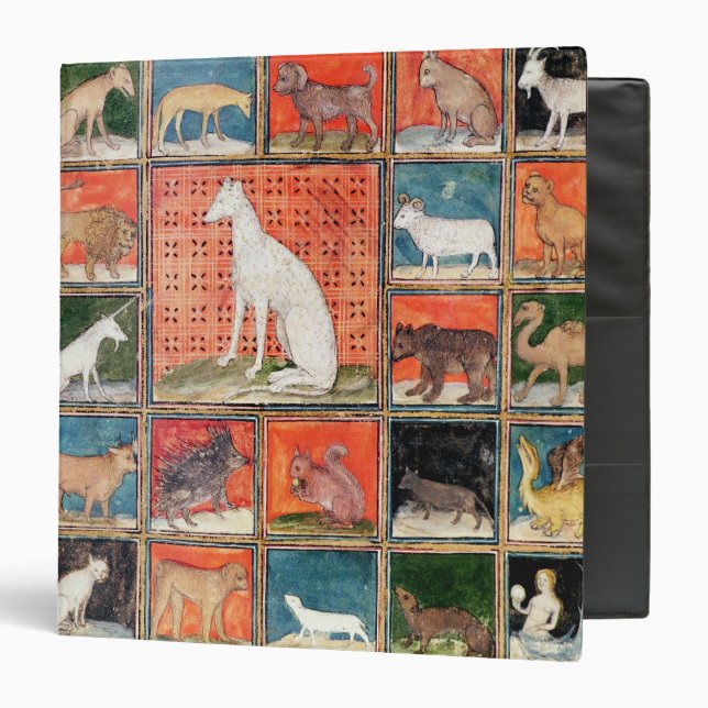 The Properties of Beasts: The Mammals Binder (Front/Inside)