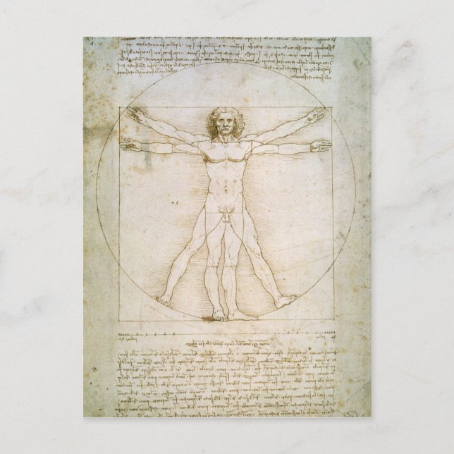 The Proportions of the human figure Postcard (Front)
