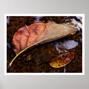 the prospector poster