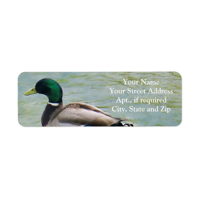 The Proud Mallard Duck as Return Address Labels (Front)