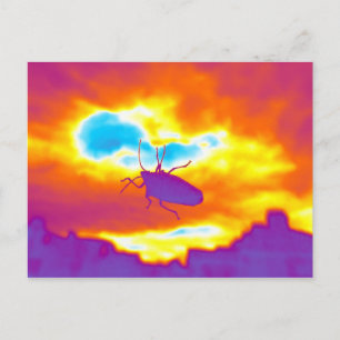 The Psychedelic Bug Postcard