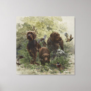 The Pudelpointer     Canvas Print