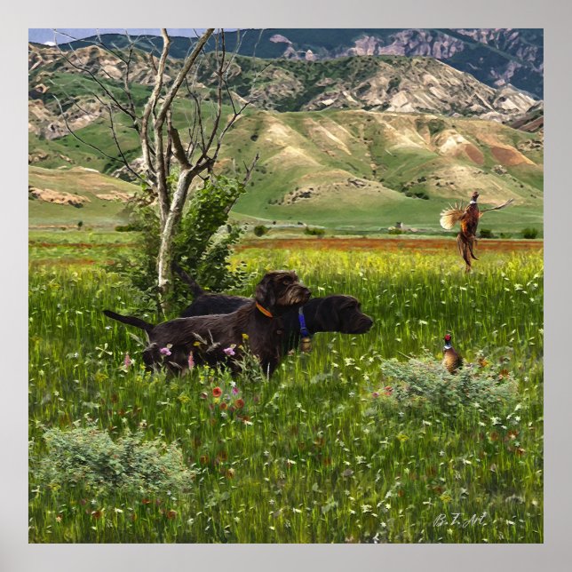 The Pudelpointer  Poster (Front)