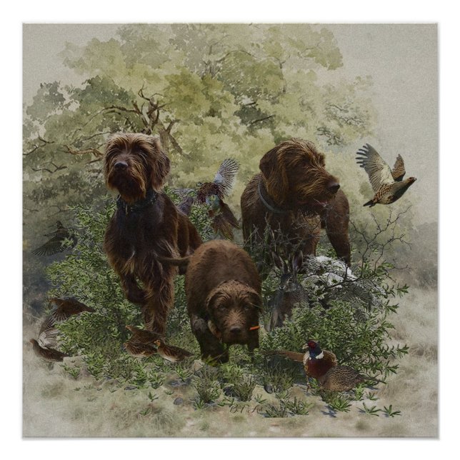 The Pudelpointer      Poster (Front)