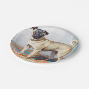 The Pug by Conradijn Cunaeus Paper Plate