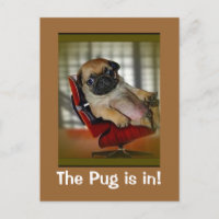 The Pug is in!