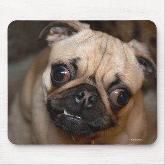 The Pug Mouse Pad