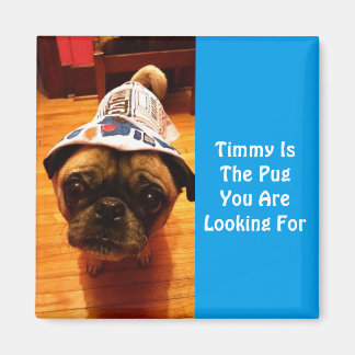 The Pug You Are Looking For Magnet