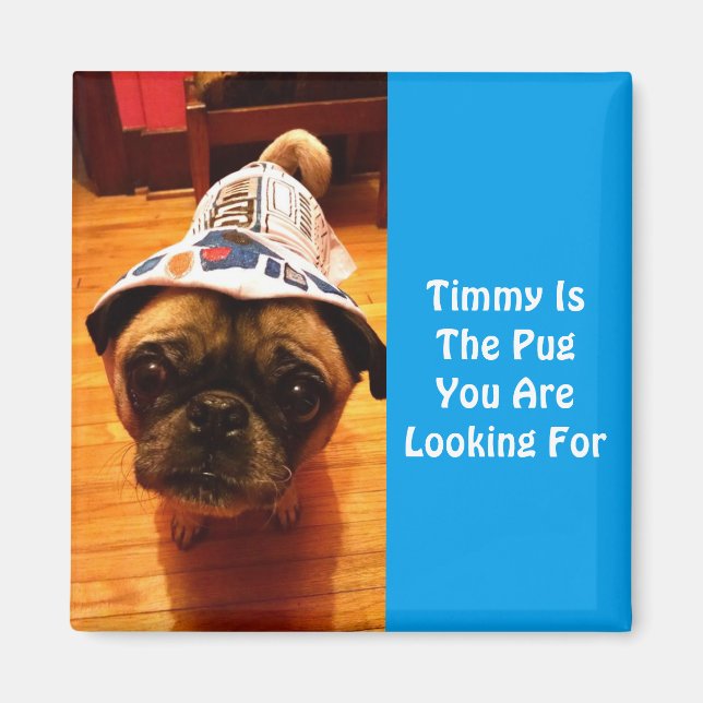 The Pug You Are Looking For Magnet (Front)