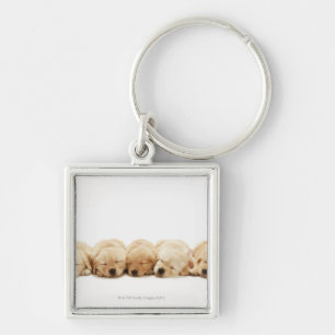 The puppies of the Golden Retriever Keychain