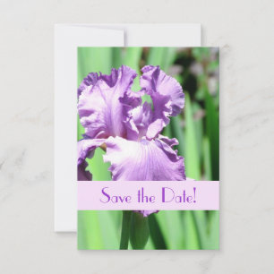 The Purple Iris Save the Date Announcement