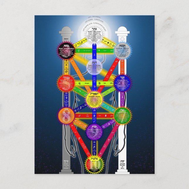The Qabalistic Tree of Life Structure Diagram Postcard (Front)