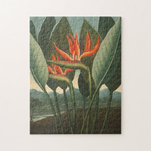 'The Queen (Bird of Paradise)' Jigsaw Puzzle