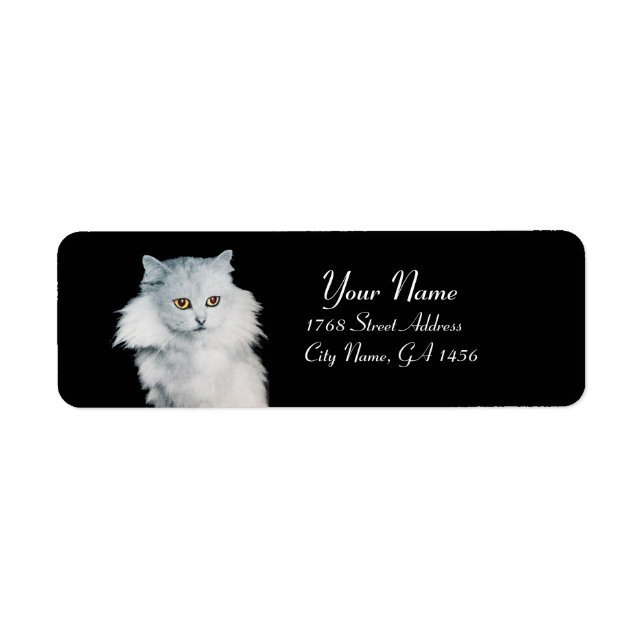 THE QUEEN OF WHITE CATS (Front)