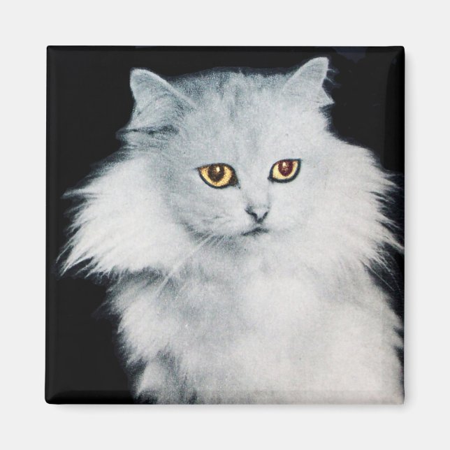 THE QUEEN OF WHITE CATS MAGNET (Front)
