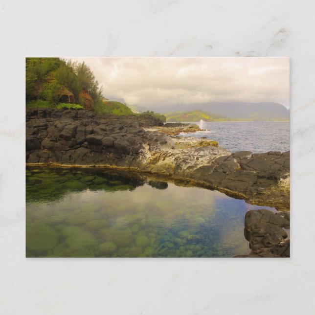 The "Queen's Bath," Kauai, Hawaii. Postcard (Front)