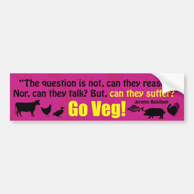 The question is not, can they reason?... bumper sticker (Front)